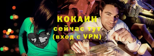 шишки Кукмор